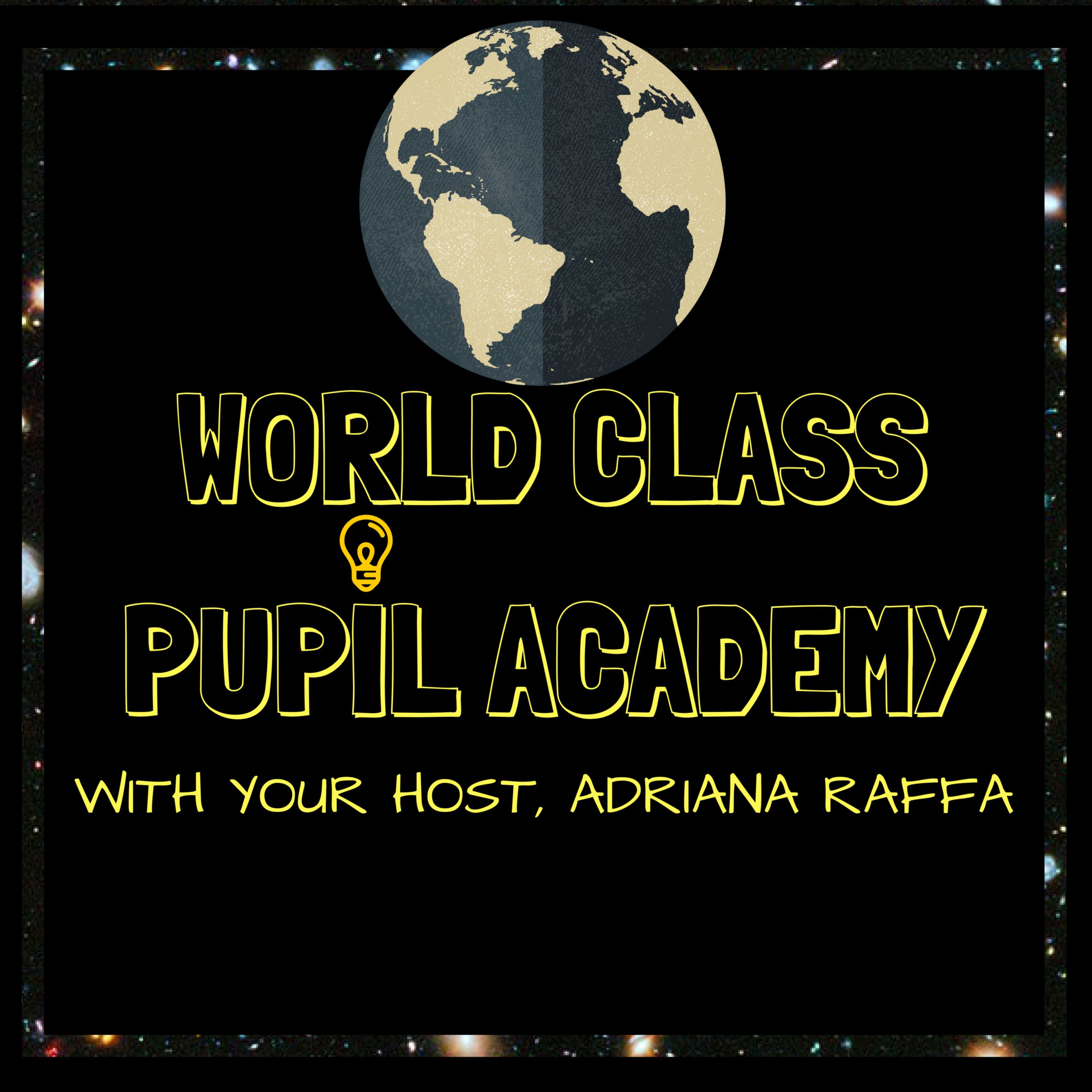 WORLD CLASS PUPIL ACADEMY podcast artwork