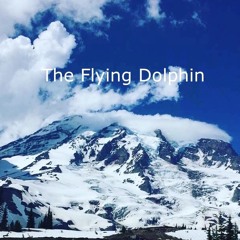 The Flying Dolphin