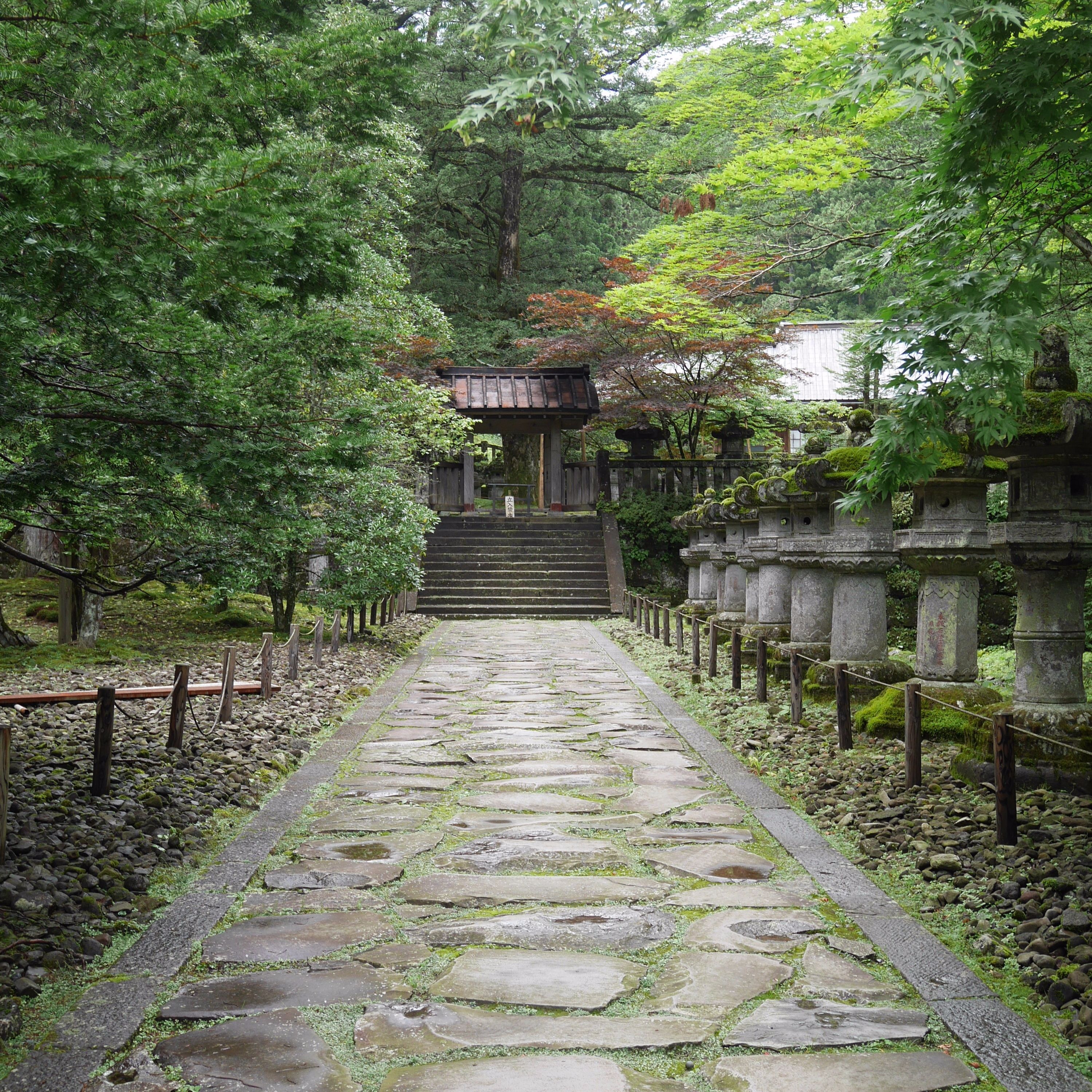 Today is Not That Day cover