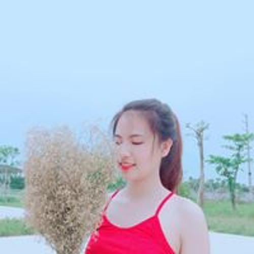 VT Hiền’s avatar