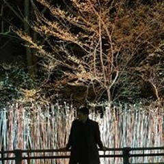 정하명