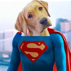 👾The Super UnderDog👾