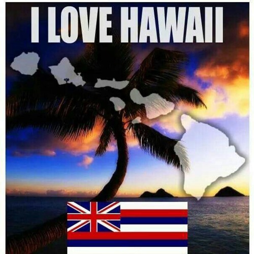 Flyin-Hawaiian’s avatar