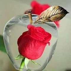زي الهوىم