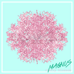 Magnus Rockwell