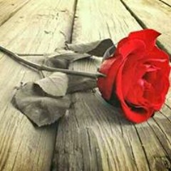 ايات الله بينات