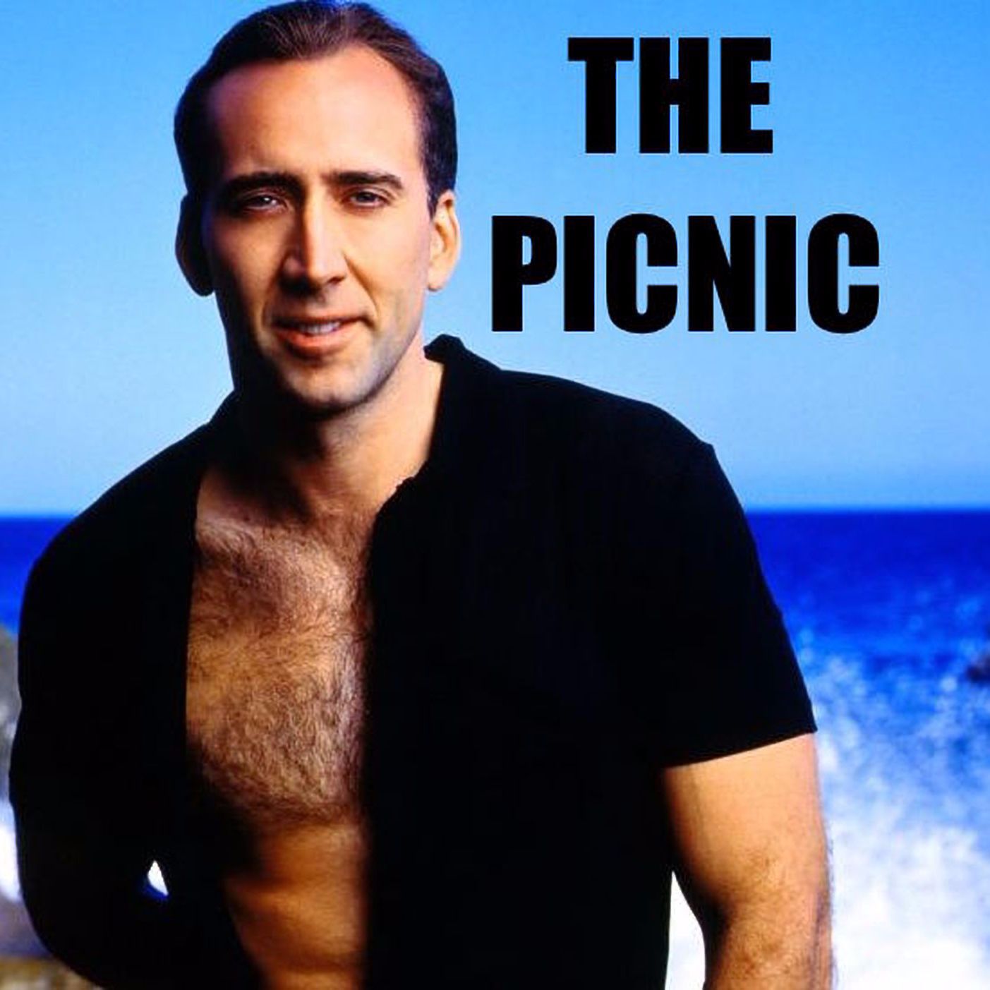 The PicNic