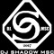 DJ Shadow MSC