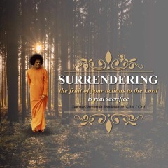 Sai Youth Rotterdam - NL