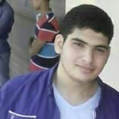 Amr H Nasif