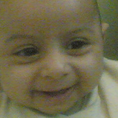 SHIMAA ELRASHEDY