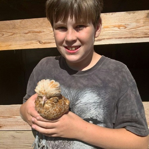 Stream waldo music Listen to songs, albums, playlists for free on