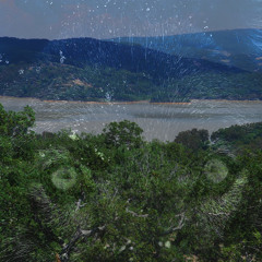 zied.dhaouadi