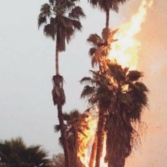 poiisonfire