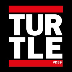 Turtle DB9
