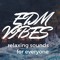 EDM Vibes