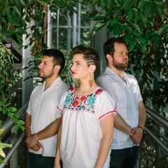 Elena & Los Fulanos - Volcán