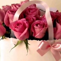 Sanoy Al Asal