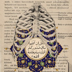 Asmaa A. AbdelHady