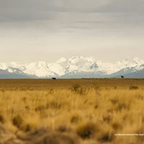 Untitled Playlist