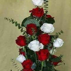 madeha