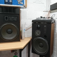 Hippy Lee & Joe Peng -  Sound System Culture