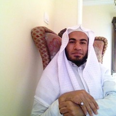 محمد السيد حمد