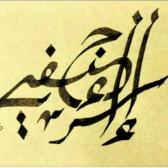 Israa Hanafi Airlines