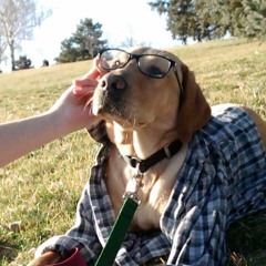 Abigail Lovelady Partlow