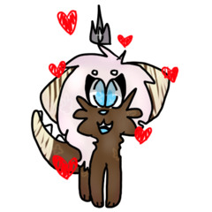 sheep ander