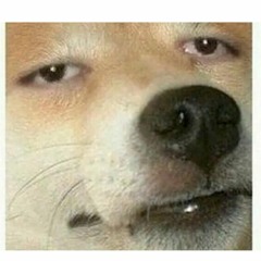 Apu