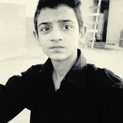 syed hasnain ali