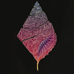 Catfish & the Dogstars