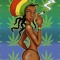 Don Roots