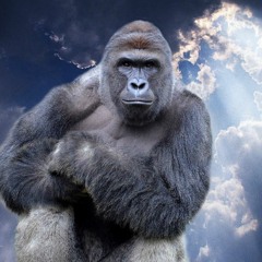 Chairlift- "Party" by Beyonce Cover (feat Kool AD)