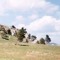 Иннокентий Козаков