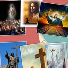 Nguyễn Thị Kim Loan