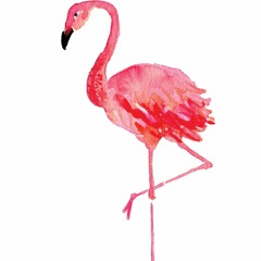 USER80348583829190283