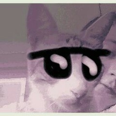 Tommy Sweeney Exposito