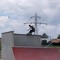 Genesys