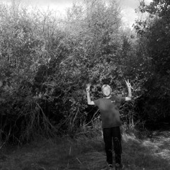 Treeman
