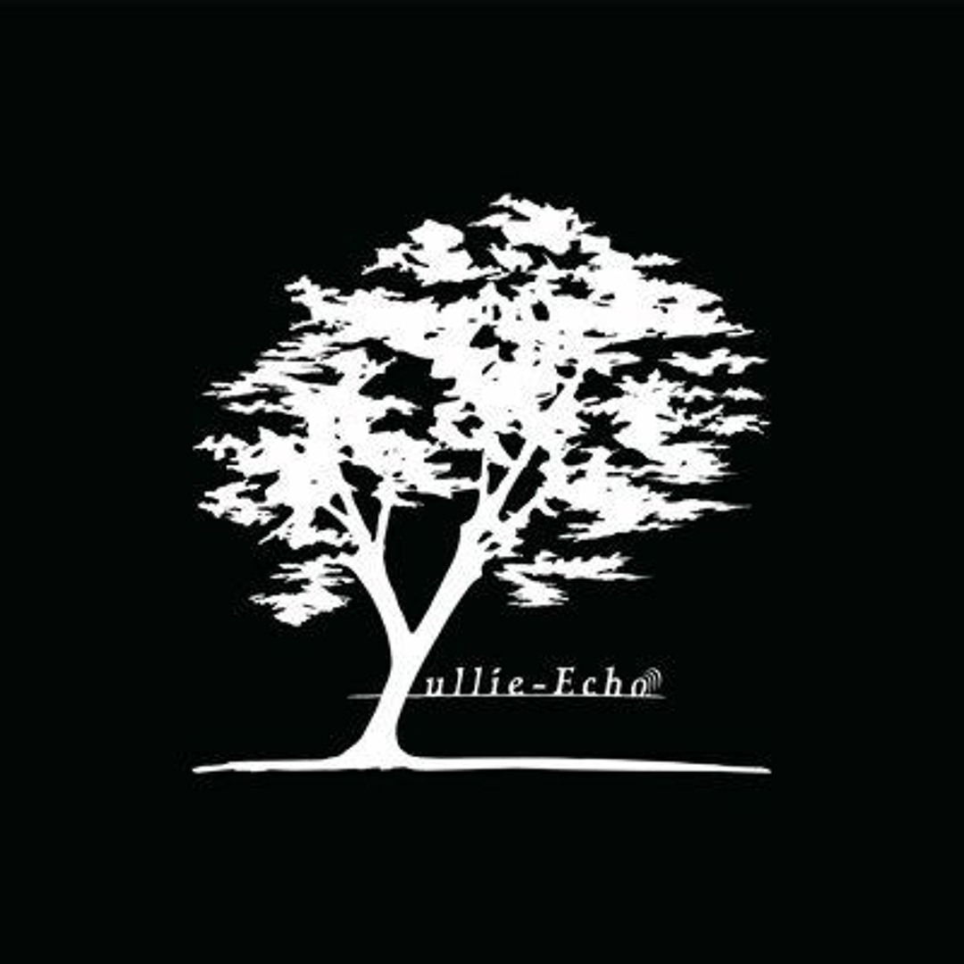 Stream Yullie-Echo music | Listen to songs, albums, playlists for