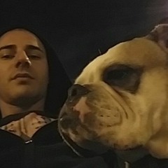 MR. GUS