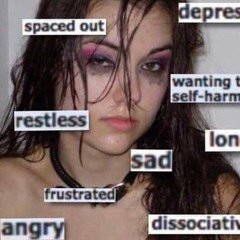 iS XANAX VEGAN?