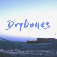 Drybones