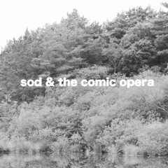 casual sales advisor