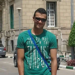 Mohamed Amer