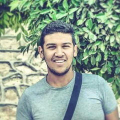 Eng Hesham Mostafa 1