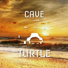 Cave Turtle