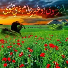 user761074840